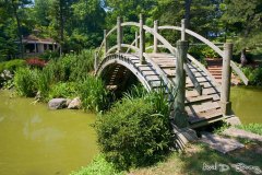 Japanese bridge