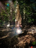 Tree hugging is fine... but watch our for morning wood.