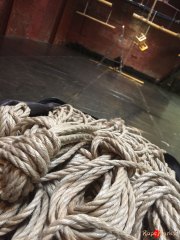 RopeMarks Ryu for Shibari Lounge, Antwerp