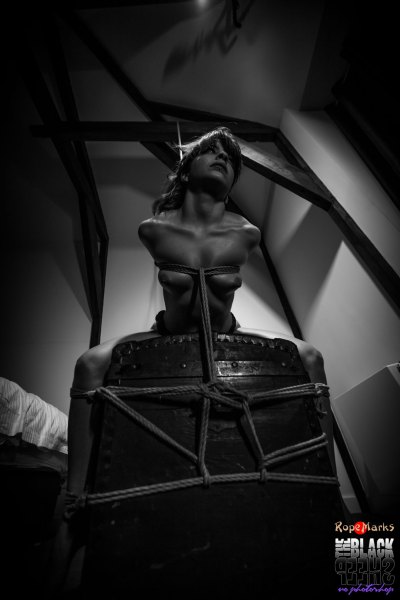 On top of her World