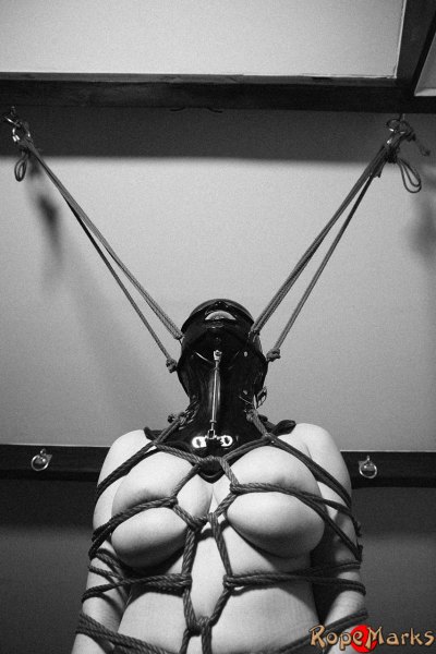 The Toy in the Attic