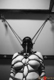 The Toy in the Attic
