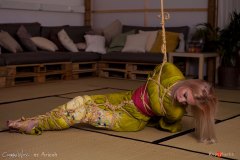 Traditional torment
