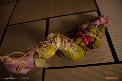 Traditional torment