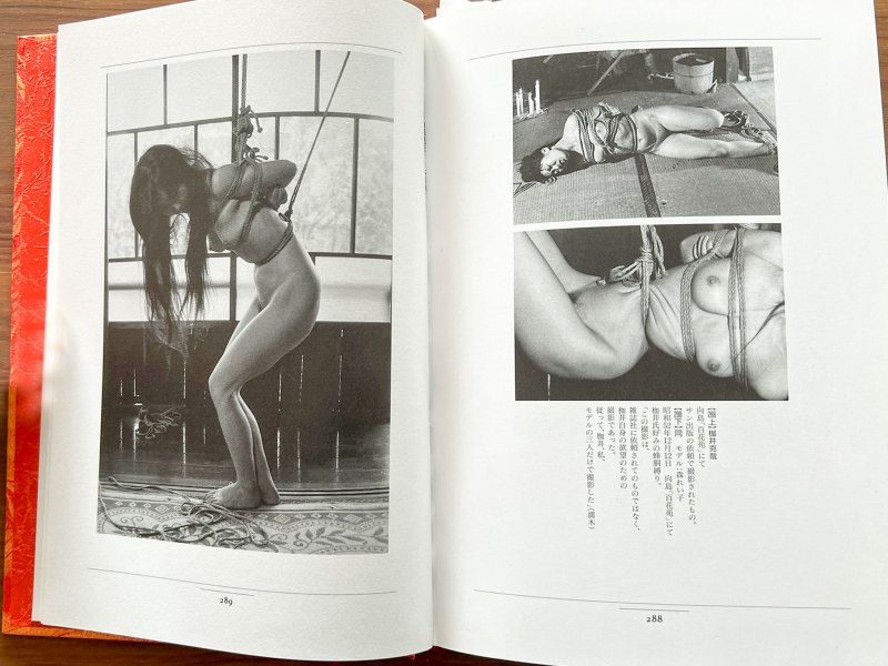The History of Japanese Bondage Photography Volume 1 (1996) by Masami Akita